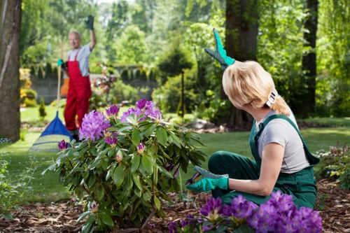 Eco-friendly gardening practices in a Beeliar backyard