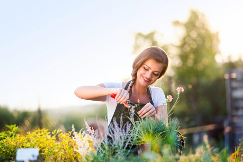 Professional gardener designing a garden