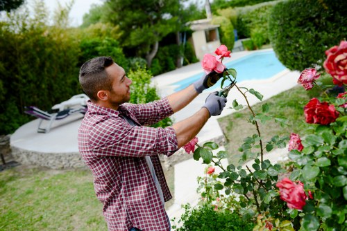 Beautiful garden maintained by professional gardener in Coburg