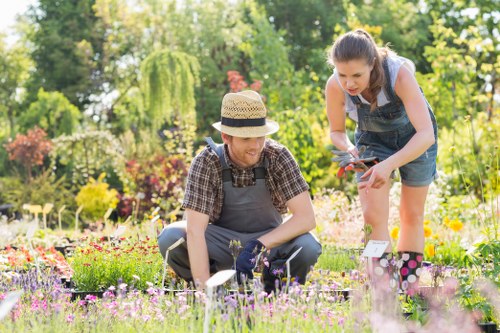 Professional garden maintenance services in Deepdene