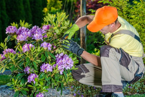 Professional gardener designing a landscape in Frankston North