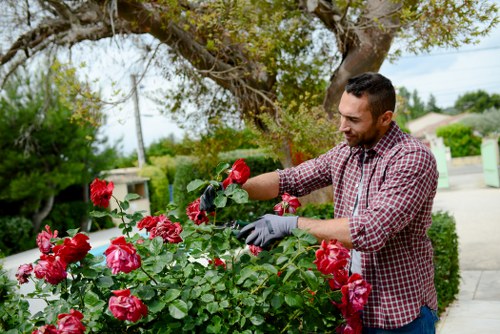 Team of James Gardeners working on a garden project