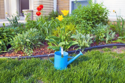 Expert pruning services by Nollamara's gardening team