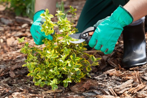 Local gardeners maintaining a beautiful garden