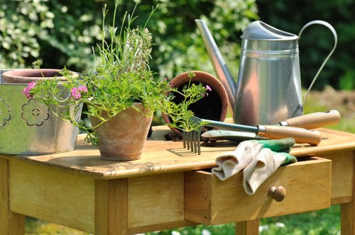 Professional gardener assessing a garden for clearance