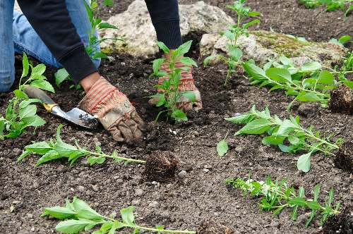 Eco-friendly gardening practices in Floreat