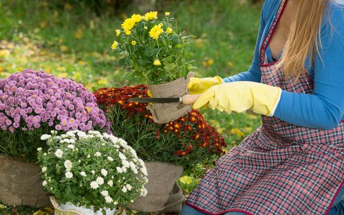 Maintenance work being carried out in a Sutherland garden