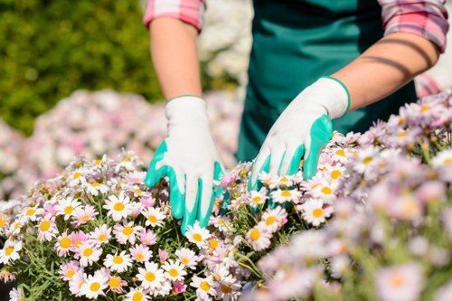 Eco-friendly tree maintenance practices