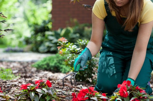 Seasonal garden maintenance in Durack