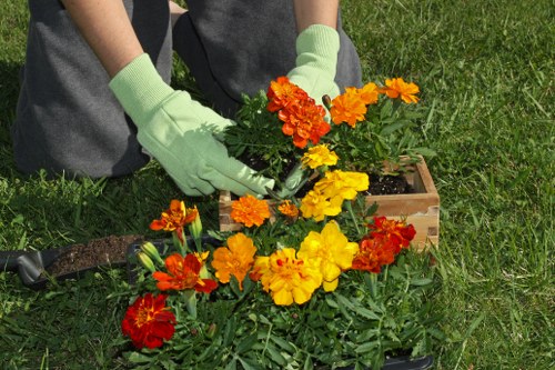 Local Hamilton Hill gardener planning a garden