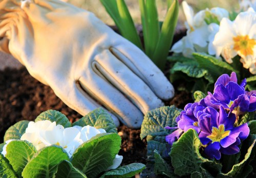 Seasonal gardening services in Joondalup