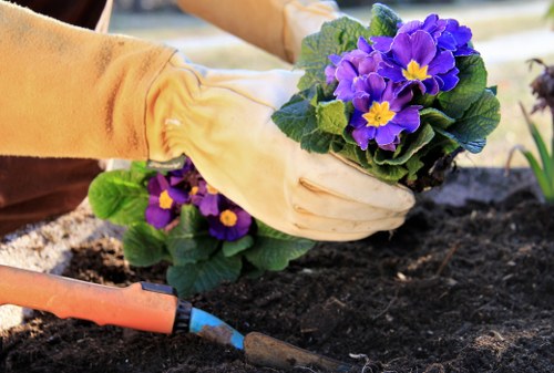 Seasonal garden maintenance by local experts