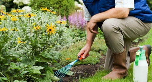 James Gardeners maintaining a vibrant garden