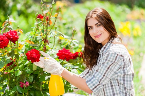 Professional gardeners working on landscape design in Coolaroo