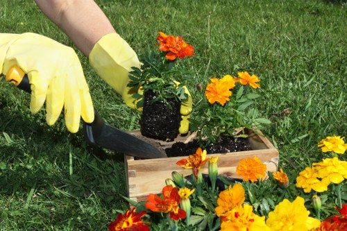 Lush garden maintenance services in Ringwood