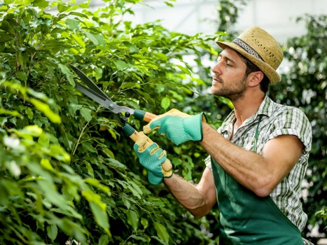 Garden maintenance by skilled Frankston North gardeners