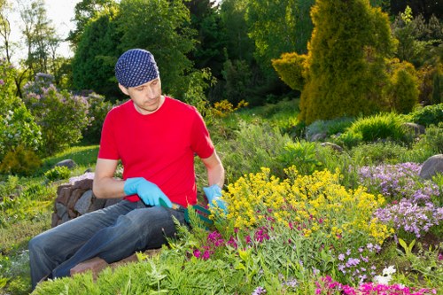 Local gardener working on a lush backyard in Gladesville