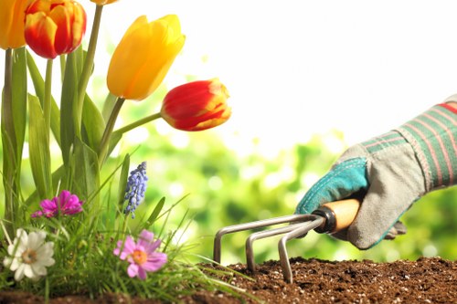 Expert gardeners maintaining a lush Geebung garden