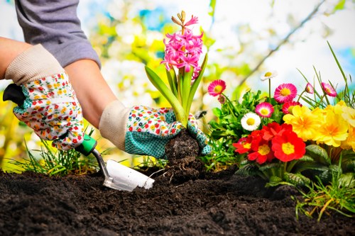 Eco-friendly garden clearance in action by James Gardeners