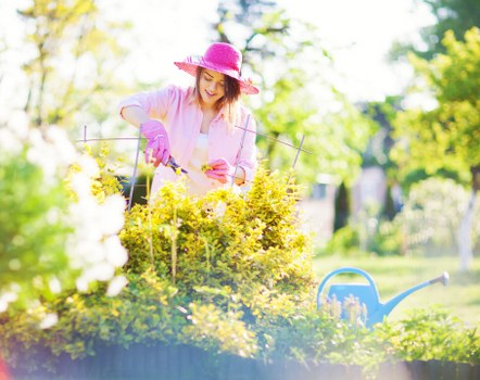 Professional gardener designing a landscape in Heidelberg West.