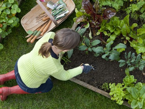 Specialized garden maintenance services in Gaythorne