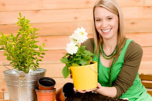 Eco-friendly garden features with rainwater harvesting system