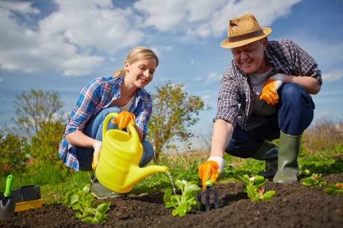 Professional gardener designing a bespoke garden layout in Glebe