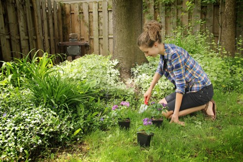 Team of James Gardeners pruning and trimming plants