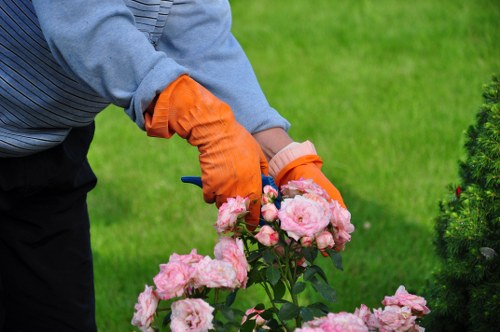 Installation of irrigation system by James Gardeners