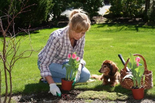 Diverse garden styles in nearby Greenwood areas