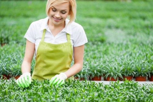 Sustainable garden practices in a Sutherland outdoor space