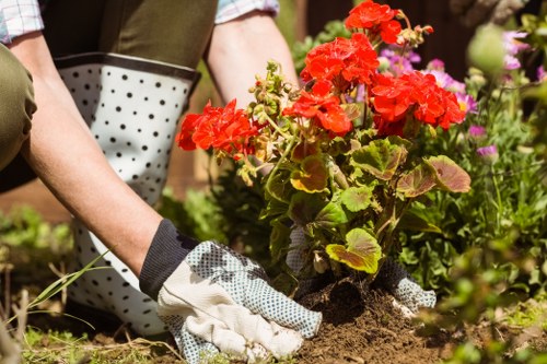 Local gardening projects in Greensborough and surrounding areas