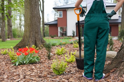 Eco-friendly gardening practices by James Gardeners