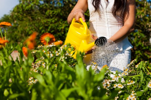 Seasonal gardening activities by Denistone experts