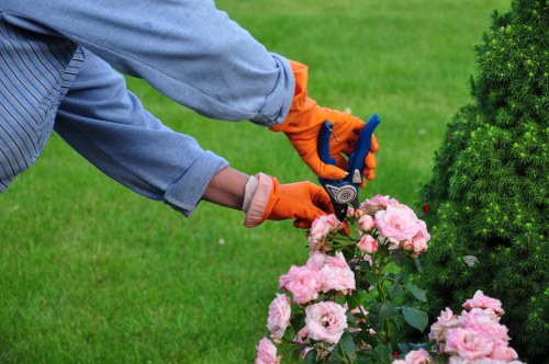 Client discussing garden clearance plan with James Gardeners