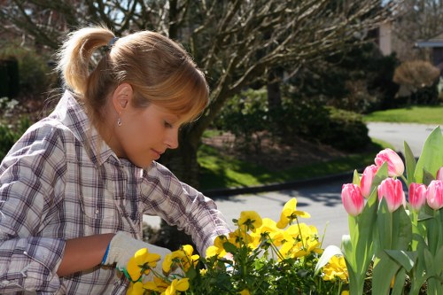 Professional landscape design by Kensington gardeners