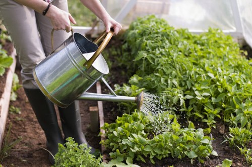 Professional gardeners from James Gardeners at work