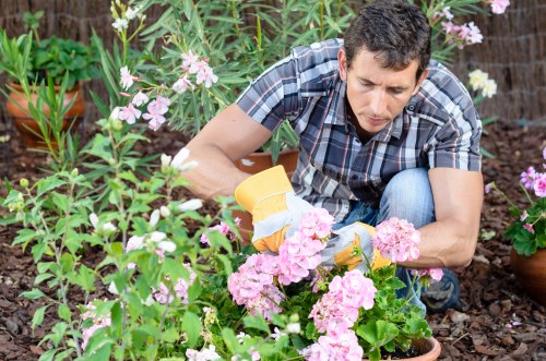 Professional gardening services by James Gardeners