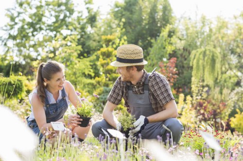 Landscape design by professional gardeners in Keilor