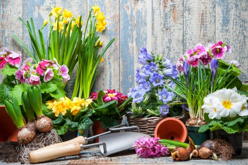 Sustainable gardening practices in Bentleigh East